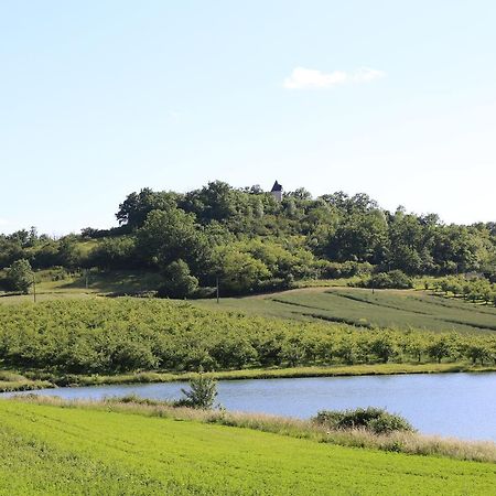 Vila Moulin De Rouze Castelnaud-de-Gratecambe Exteriér fotografie