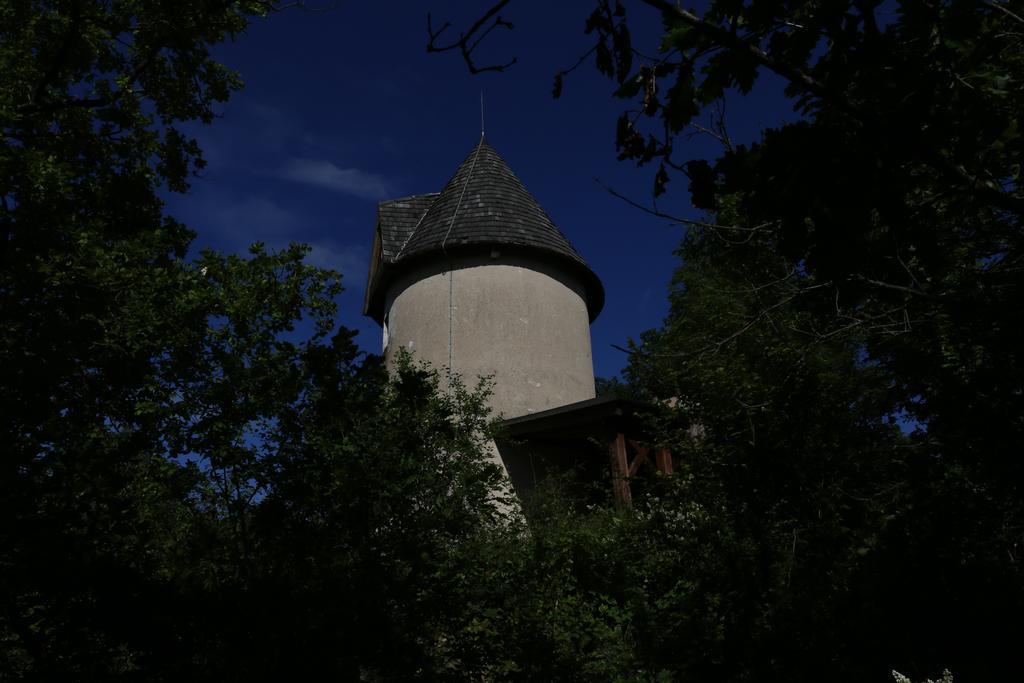 Vila Moulin De Rouze Castelnaud-de-Gratecambe Pokoj fotografie