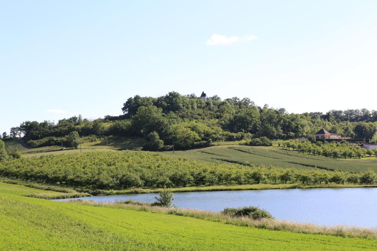 Vila Moulin De Rouze Castelnaud-de-Gratecambe Exteriér fotografie