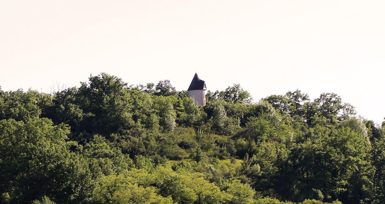Vila Moulin De Rouze Castelnaud-de-Gratecambe Exteriér fotografie